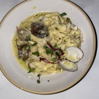 Bel Mare - Linguine with clams - Italian Near Me - Key West, Florida Bel Mare - Linguine with clams - Italian Near Me - Key West, Florida