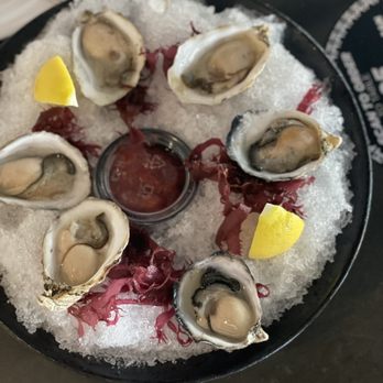 Tarantula Hill Brewing - Half dozen Kuma oysters - Breweries Near Me - Thousand Oaks, California Tarantula Hill Brewing - Half dozen Kuma oysters - Breweries Near Me - Thousand Oaks, California