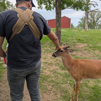 Paul Bunyan Animal Land - Petting Zoos Near Me - Bemidji, Minnesota Paul Bunyan Animal Land - Petting Zoos Near Me - Bemidji, Minnesota