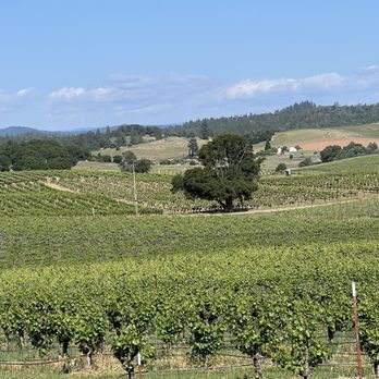 BellaGrace Vineyards - View - Wineries Near Me - Plymouth, California BellaGrace Vineyards - View - Wineries Near Me - Plymouth, California