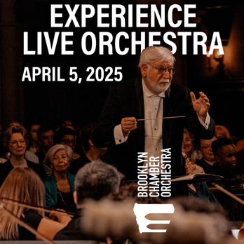 Brooklyn Chamber Orchestra - Performing Arts Near Me - Brooklyn, New York