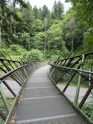 Washington Park by null