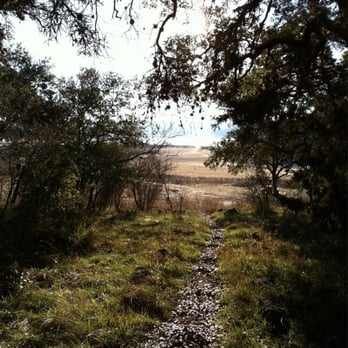 Pace Bend Park - Parks Near Me - Spicewood, Texas