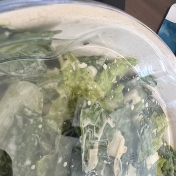 Chopt Creative Salad Co. - Bug - Salad Near Me - Washington, DC, District of Columbia