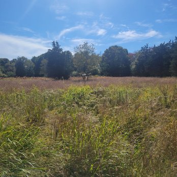 Osamequin Wildlife Sanctuary - Hiking Near Me - Barrington, Rhode Island Osamequin Wildlife Sanctuary - Hiking Near Me - Barrington, Rhode Island