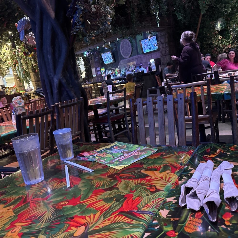Rainforest Cafe - American Near Me - Katy, Texas