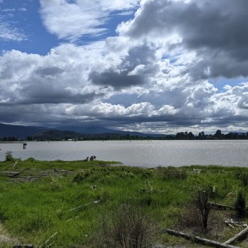 Traboulay Poco Trail - Hiking Near Me - Port Coquitlam, British Columbia