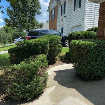 Team Heroes Lawn Care - Bush trimming job - Lawn Services Near Me Team Heroes Lawn Care - Bush trimming job - Lawn Services Near Me