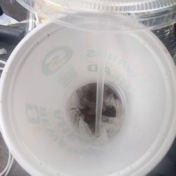 Wendy's - Plastic glove in the bottom of my daughters drink. Gross.