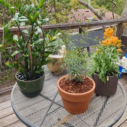 Ladera Garden & Gifts - All this is possible because of these guys