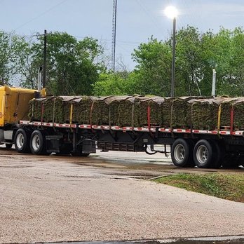 The Grass Company - Landscaping Near Me - San Antonio, Texas The Grass Company - Landscaping Near Me - San Antonio, Texas