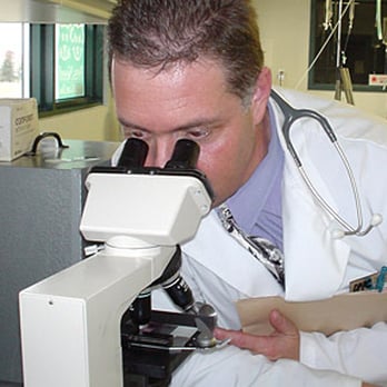 Animal Medical Centre - Dr. Tomkowicz - Veterinarians Near Me - Edmonton, Alberta Animal Medical Centre - Dr. Tomkowicz - Veterinarians Near Me - Edmonton, Alberta