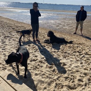 The Hideaway Retreat - Dog friendly beach - friendly community - Campgrounds Near Me - Navarre, Florida The Hideaway Retreat - Dog friendly beach - friendly community - Campgrounds Near Me - Navarre, Florida