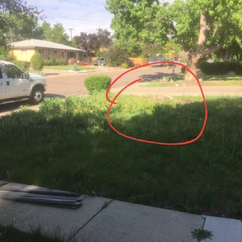 MQ Landscaping and Tree Services - Before you can see the stump. - Tree Services Near Me