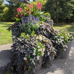 Avro Canada Monument - Flowers