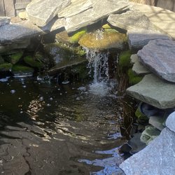 The Health Oasis - Coy pond waterfall