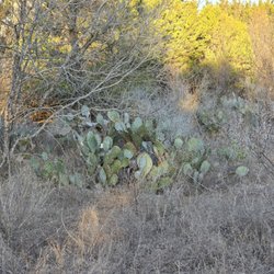 Bamberger Nature Park