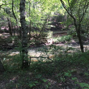 Medoc Mountain State Park - Parks Near Me - Hollister, North Carolina
