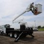 Photo of Economy Tree Service