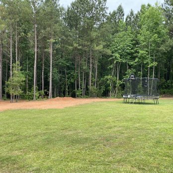 The Hauling Donkey - Backyard clean up - Demolition Services Near Me The Hauling Donkey - Backyard clean up - Demolition Services Near Me