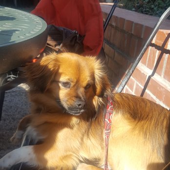 Pablo's Cafe - Dog Friendly, Yes. You can sit outside - Breakfast & Brunch Near Me - San Diego, California