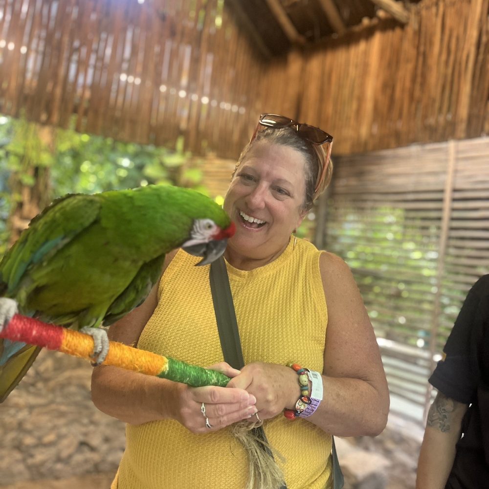 Crococun Zoo - Parrot pal - Zoos Near Me - Cancún, ROO Crococun Zoo - Parrot pal - Zoos Near Me - Cancún, ROO
