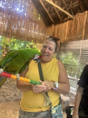 Croco Cun Zoo by null