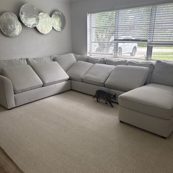 Extreme Steam - Couches are looking so clean! My cat agrees! - Carpet Cleaning Near Me - Pembroke Pines, Florida Extreme Steam - Couches are looking so clean! My cat agrees! - Carpet Cleaning Near Me - Pembroke Pines, Florida