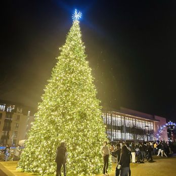 Downtown Cary Park - Tree lighting draws a massive crowd and the news even shows up! - Parks Near Me - Cary, North Carolina Downtown Cary Park - Tree lighting draws a massive crowd and the news even shows up! - Parks Near Me - Cary, North Carolina