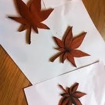Weston Hardwood Floor Services - maple leaves and star anise - Flooring Near Me - Woburn, Massachusetts Weston Hardwood Floor Services - maple leaves and star anise - Flooring Near Me - Woburn, Massachusetts
