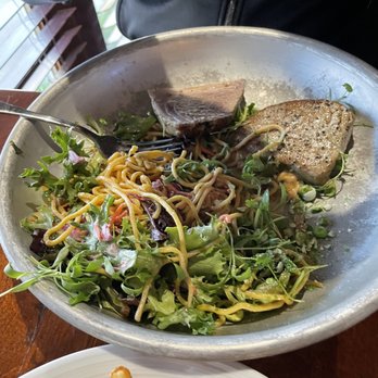 Tuckers Tavern - Seared Tuna & Thai Noodle Salad - Gastropubs Near Me - Beach Haven, New Jersey Tuckers Tavern - Seared Tuna & Thai Noodle Salad - Gastropubs Near Me - Beach Haven, New Jersey