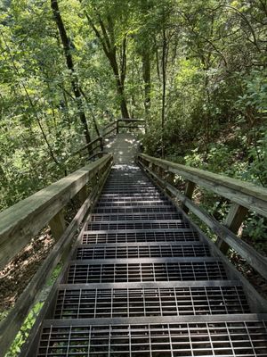 Tallulah Gorge State Park by null
