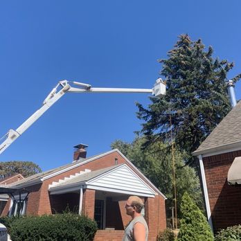 Coffey & Son Tree Service - Caring for customers needs for over 25 years! - Tree Services Near Me - Castle Shannon, Pennsylvania Coffey & Son Tree Service - Caring for customers needs for over 25 years! - Tree Services Near Me - Castle Shannon, Pennsylvania
