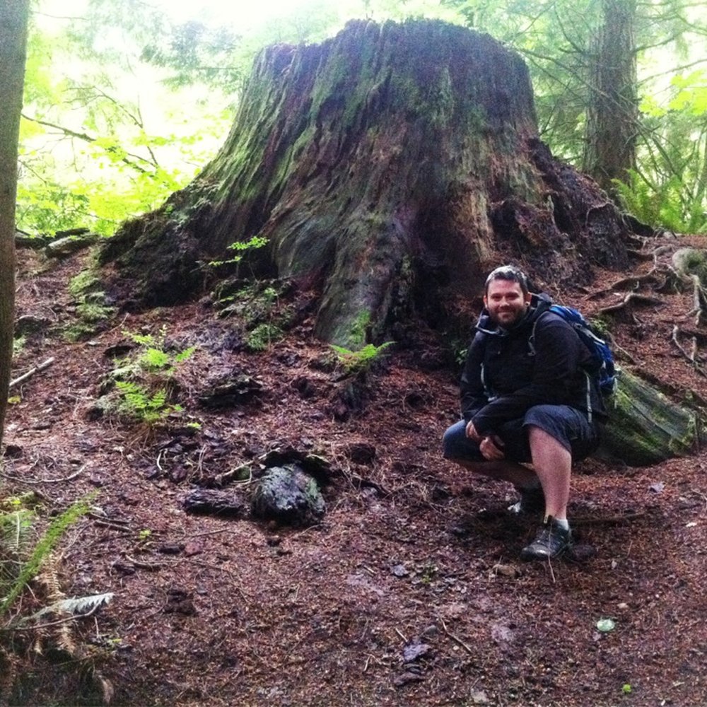 My favourite redwood stump.