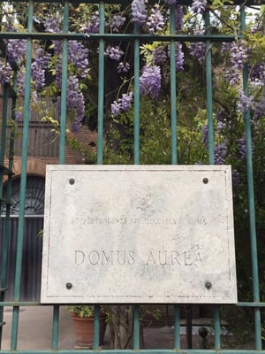 Domus Aurea by null