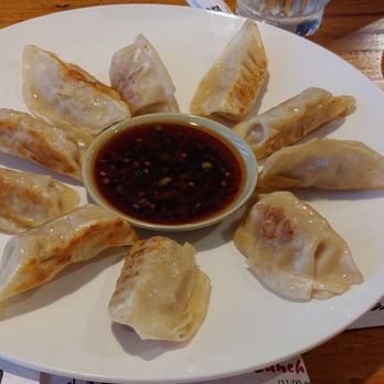 Tokyo Dragon - Very tasty pot sticker appetizer - Sushi Bars Near Me - Fort Wayne, Indiana