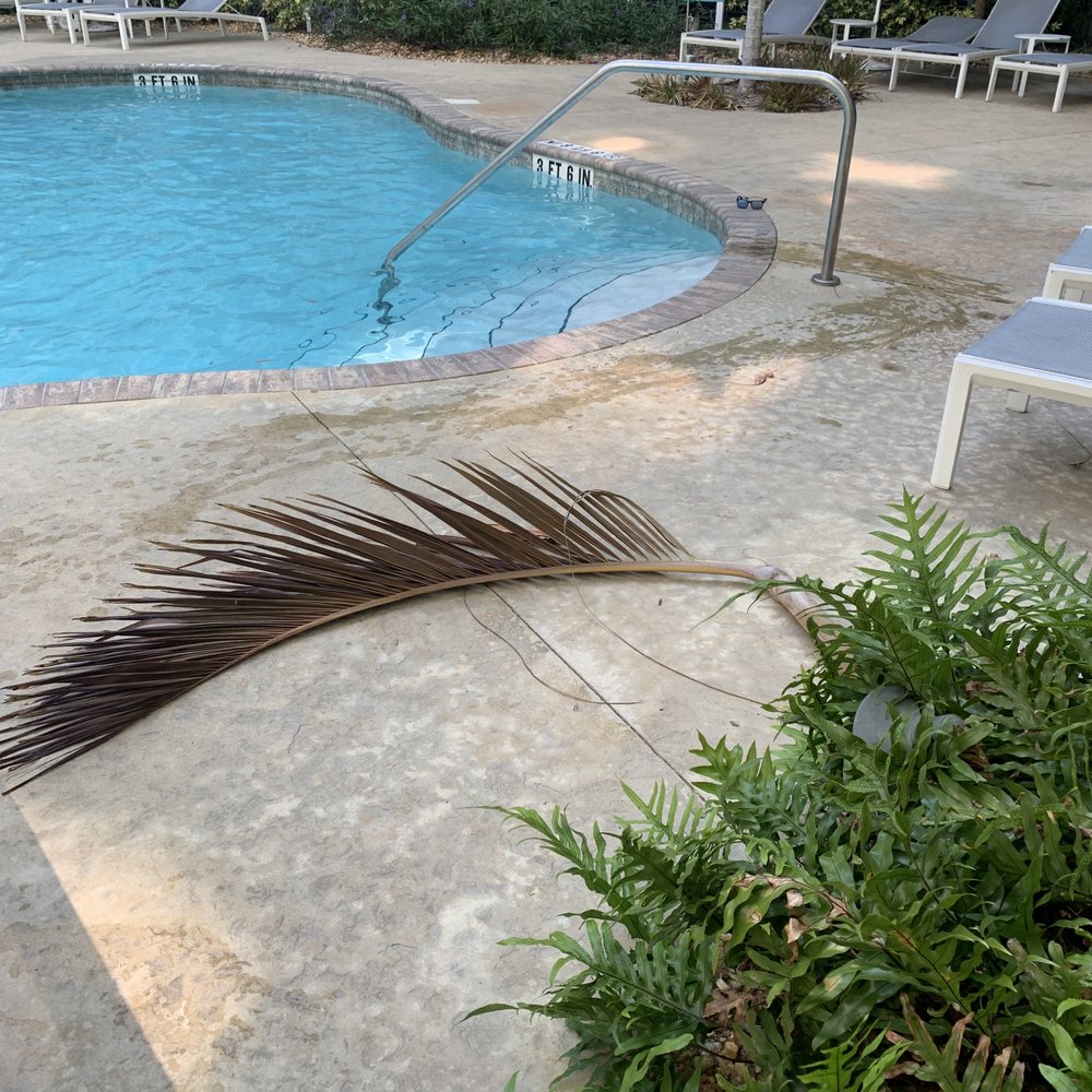 Novus Westshore - Normal Wednesday at the pool part 1 - Apartments Near Me - Tampa, Florida
