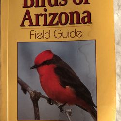 Pintail Lake-Allen Severson Wildlife Area - Great book to identify birds here