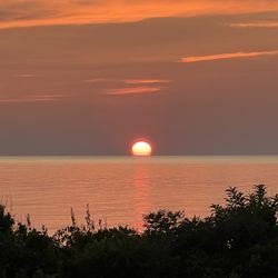 Harpoons on the Bay - Sunset view