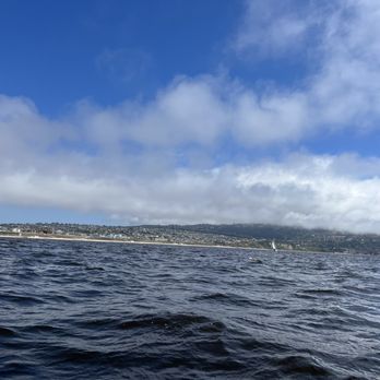 South Bay Sailing - Boating Near Me - Redondo Beach, California South Bay Sailing - Boating Near Me - Redondo Beach, California