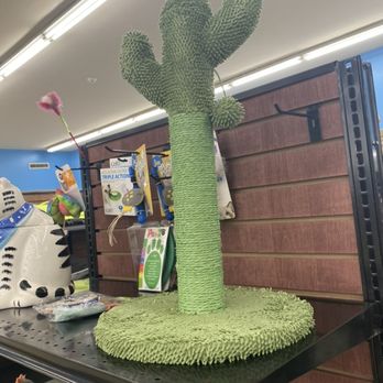 Animal Humane - Thrift Shop - Pet section - cat scratch tree! - Thrift Stores Near Me - Albuquerque, New Mexico Animal Humane - Thrift Shop - Pet section - cat scratch tree! - Thrift Stores Near Me - Albuquerque, New Mexico