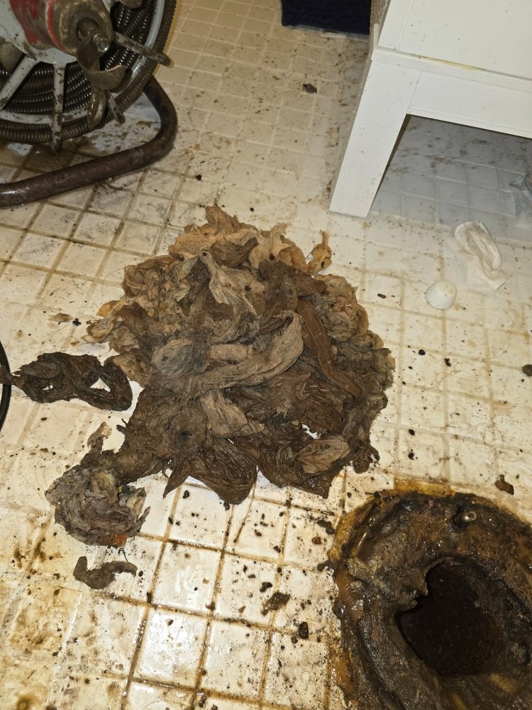 Slide of Make A Move Drain Cleaning