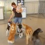 Photo of A Fox & Hounds Pet Care