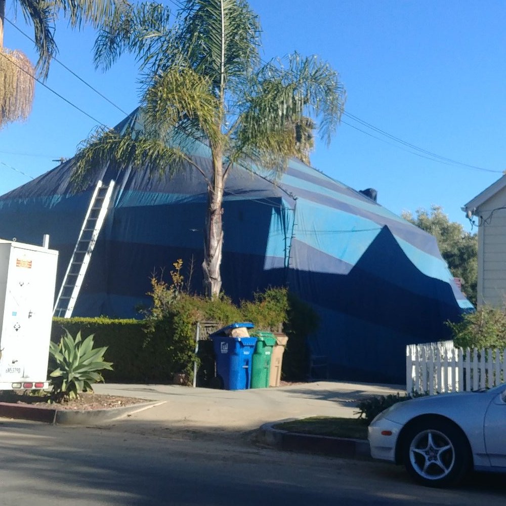 Sam Termite - Goodbye termites. Our home sweet home will be ours again - Pest Control Near Me - Santa Barbara, California Sam Termite - Goodbye termites. Our home sweet home will be ours again - Pest Control Near Me - Santa Barbara, California