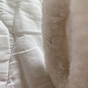 The Lash Lounge - clump of lash after doing nothing but sitting on my bed - Eyelash Service Near Me - Portland, Oregon