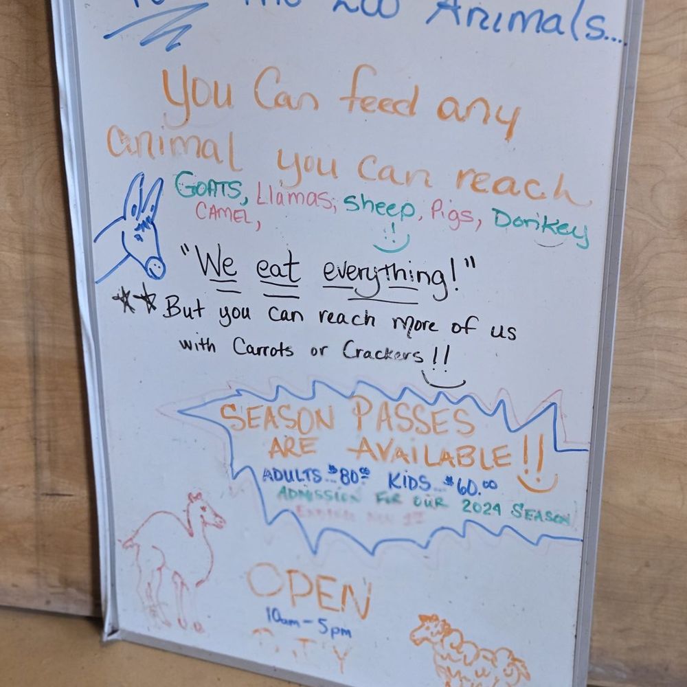 Bailiwick Animal Park - Horseback Riding Near Me - Catskill, New York