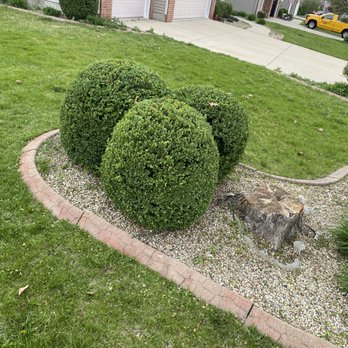 Cotton Can Do - Tree Services Near Me