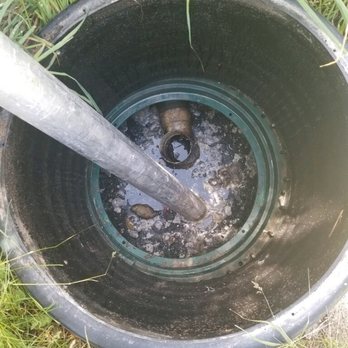 Sharky's Septic - Back pressure wash. Call Sharky's today to schedule exceptional service. - Septic Services Near Me - Dover, Florida Sharky's Septic - Back pressure wash. Call Sharky's today to schedule exceptional service. - Septic Services Near Me - Dover, Florida