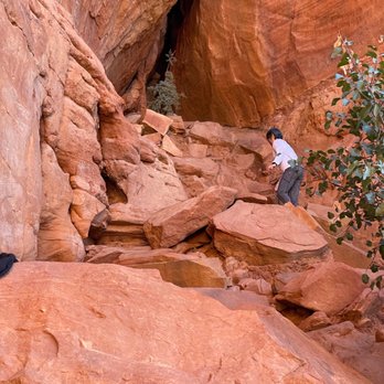 Soldier Pass Trail - Climbing up to the Charlie Brown tree - Hiking Near Me - Sedona, Arizona Soldier Pass Trail - Climbing up to the Charlie Brown tree - Hiking Near Me - Sedona, Arizona