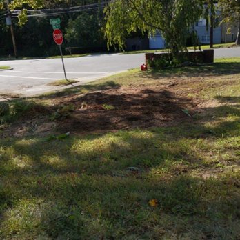 Alliance Tree Services - Tree Services Near Me - Ronkonkoma, New York
